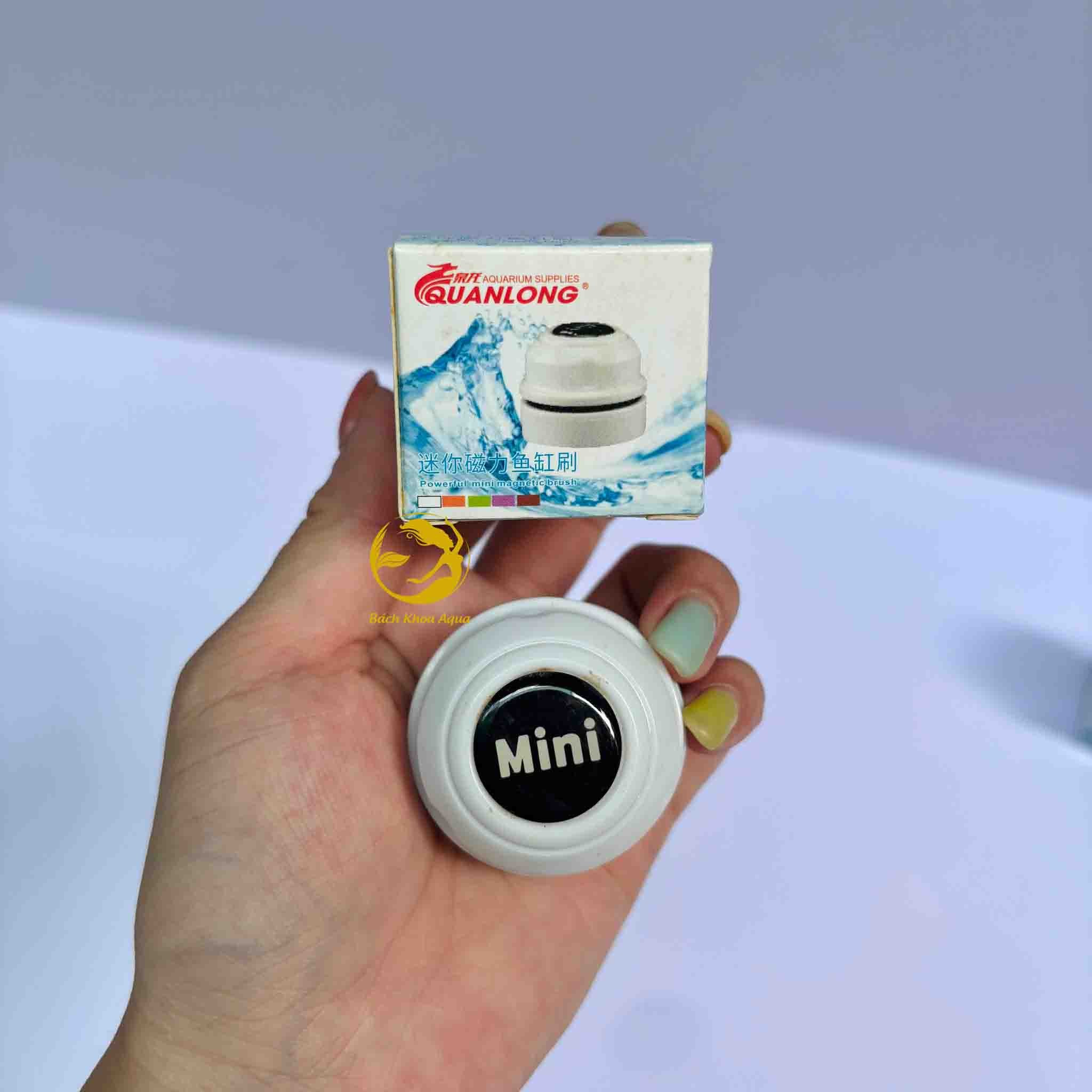 Nam châm Quanlong mini dọn bể kính 5mm hiệu quả